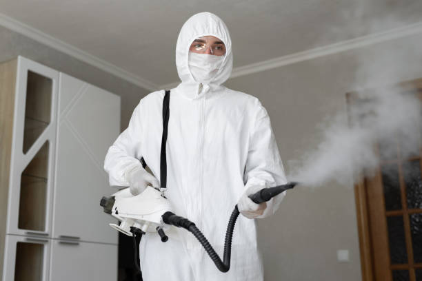 Best Black Mold Removal in Fairburn, GA